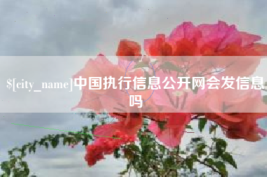 巴彦淖尔中国执行信息公开网会发信息吗