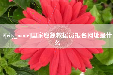 巴彦淖尔国家应急救援员报名网址是什么