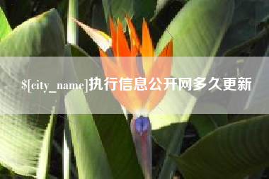 巴彦淖尔执行信息公开网多久更新