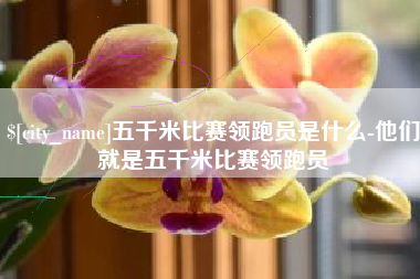 巴彦淖尔五千米比赛领跑员是什么-他们就是五千米比赛领跑员