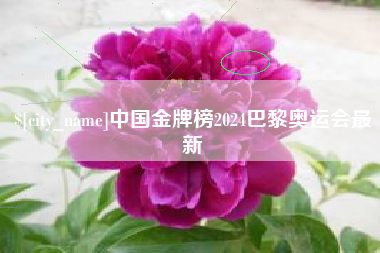 巴彦淖尔中国金牌榜2024巴黎奥运会最新