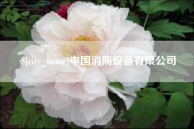 巴彦淖尔中国消防设备有限公司