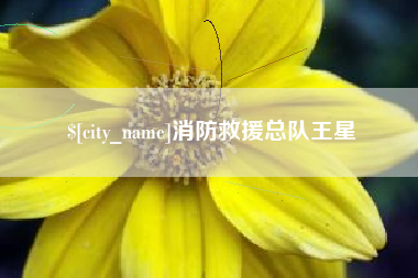 巴彦淖尔消防救援总队王星