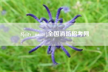 巴彦淖尔全国消防招考网