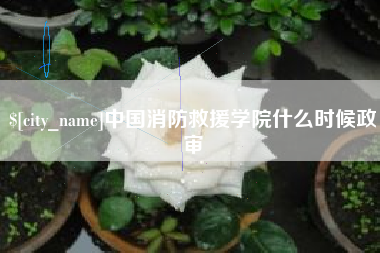 巴彦淖尔中国消防救援学院什么时候政审