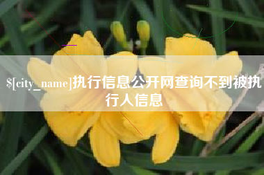 巴彦淖尔执行信息公开网查询不到被执行人信息