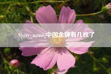 巴彦淖尔中国金牌有几枚了