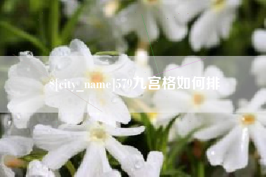 巴彦淖尔579九宫格如何排