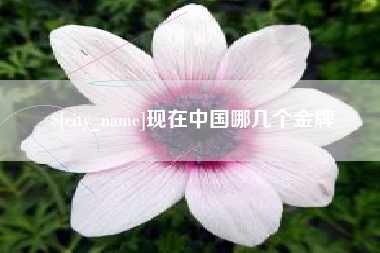 巴彦淖尔现在中国哪几个金牌