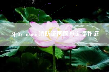 巴彦淖尔消防证国网查询操作证