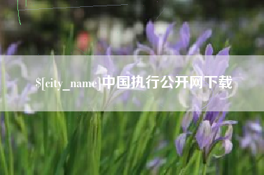 巴彦淖尔中国执行公开网下载
