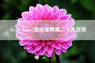 巴彦淖尔奥运金牌第二个九宫格