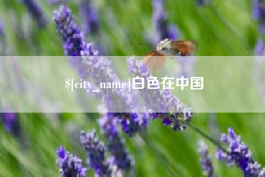 巴彦淖尔白色在中国
