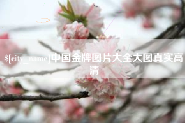 巴彦淖尔中国金牌图片大全大图真实高清