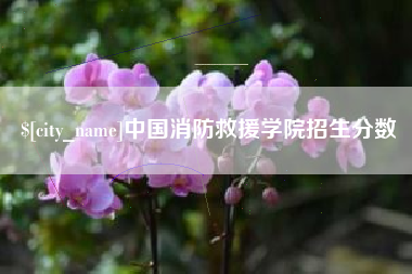 巴彦淖尔中国消防救援学院招生分数