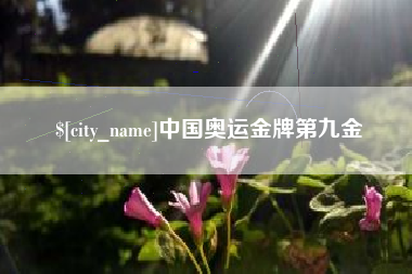 巴彦淖尔中国奥运金牌第九金