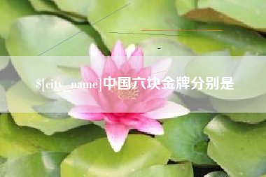 巴彦淖尔中国六块金牌分别是