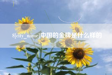 巴彦淖尔中国的金牌是什么样的