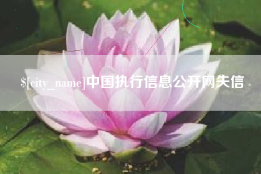 巴彦淖尔中国执行信息公开网失信