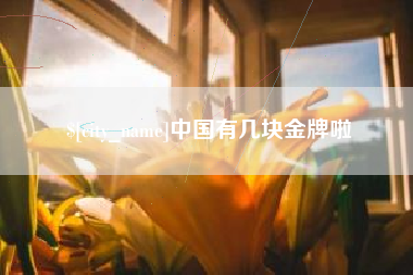 巴彦淖尔中国有几块金牌啦