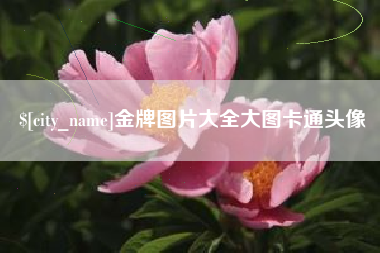 巴彦淖尔金牌图片大全大图卡通头像
