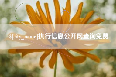 巴彦淖尔执行信息公开网查询免费